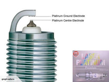 Load image into Gallery viewer, 238282603_full_QVAVUQWVYIAT.jpg