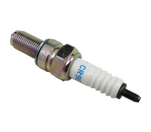 Load image into Gallery viewer, CR9E NGK Spark Plug      -      6263       -      Set of 4    -    Fast Tracked Shipping