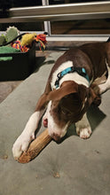 Load image into Gallery viewer, BONNO Manuka Chew for Dogs Extra Large ( Single Pack )