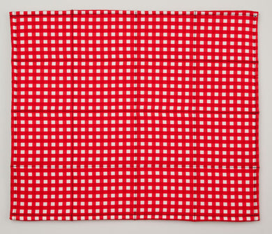 napkin_red_check_RGW7QIOU28DX.jpg